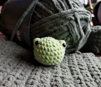 No Sew Frog Squishy