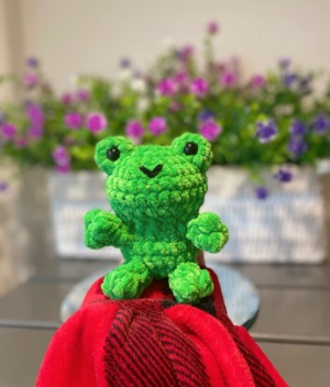 Froggle the Spring frog