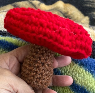 Flat cap mushroom