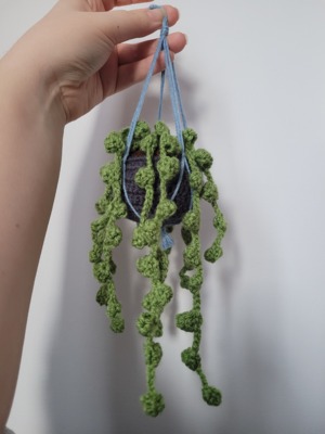 Hanging String of Pearls