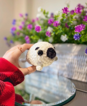 Harvey the Baby Harp Seal