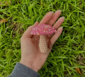 Pink Speckled Mushroom
