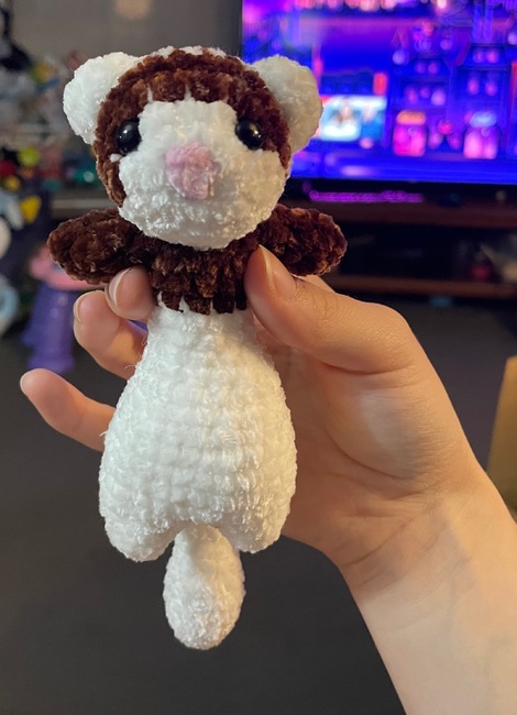 Nakesha419's make photo for Floppy Ferret