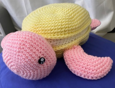 Baby Macaron Turtle