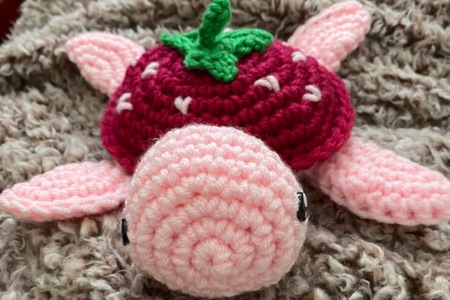 Sweet Strawberry Turtle