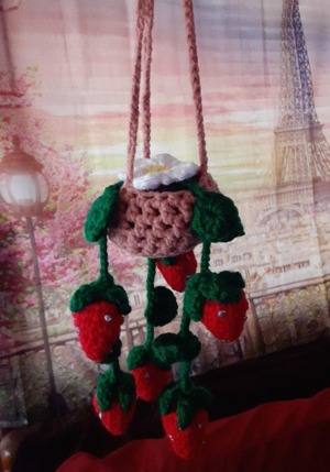 Hanging Strawberry Plant Pattern