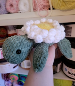 Fiore Turtle with Daisy Shell