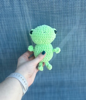 Karl the Frog (no sew)