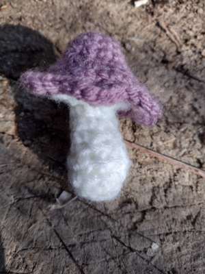 Tiny Mushroom Amigurumi