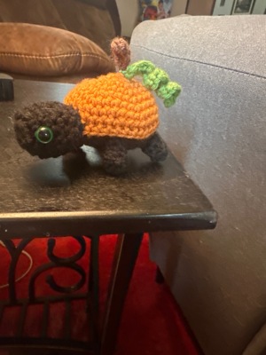 Pumpkin Tortoise