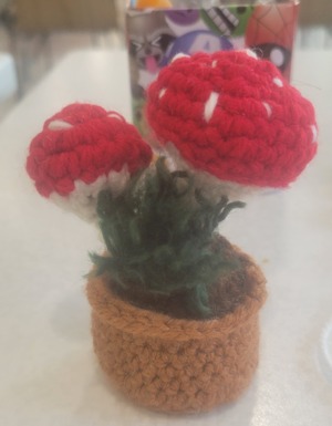 Mushroom plant