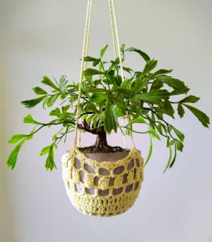 Crochet Plant Hanger