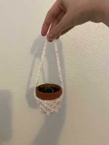 Mini plant hanger