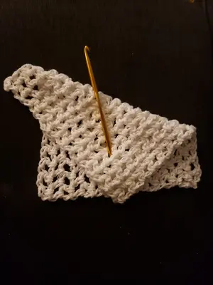 Easy dishcloth