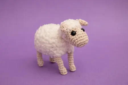 Little Sheep