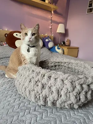 Crochet Chunky Cat Bed