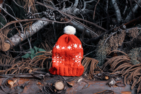 Winter Festivity Hat/Knit Version