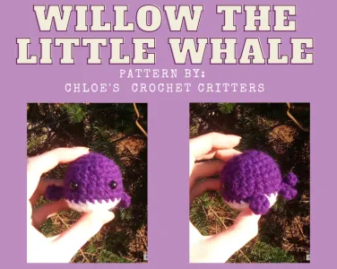 Willow the Little Whale