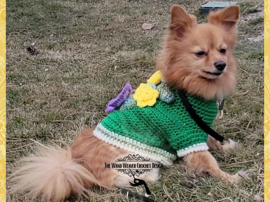 small dog fishing outfit , chihuahua,  Fishing outfits, Thrift shopping,  Outfits