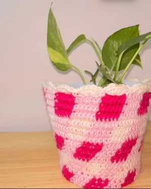 Gingham Plant Pot Holder