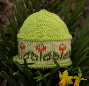 Tulip Baby Hat