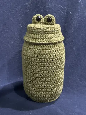 Crochet Stash Hidden Frog Mason Jar Cover