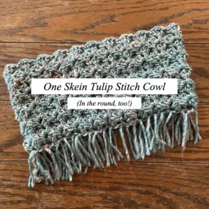 One Skein Tulip Stitch Cowl