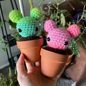 Space Bun Cactus