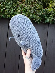 Sally the Sperm Whale