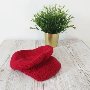 Autumnal Brimmed Beret