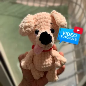 Bob the puppy with video