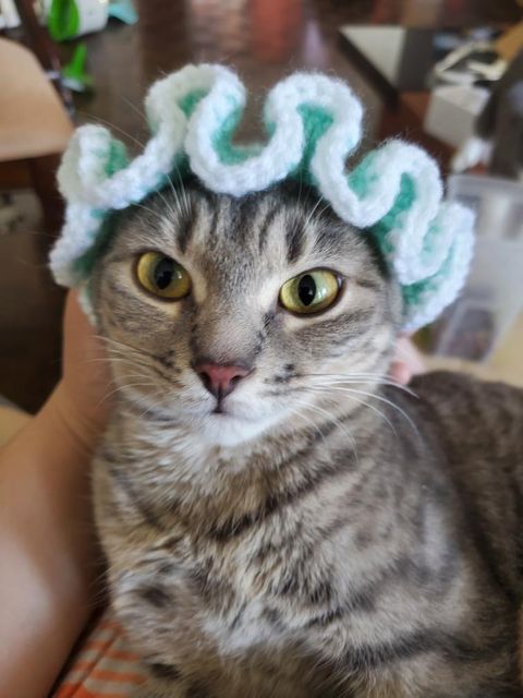Flower Cat Hat Crochet Hat for Cat or Kitten Cat Gift Handmade 
