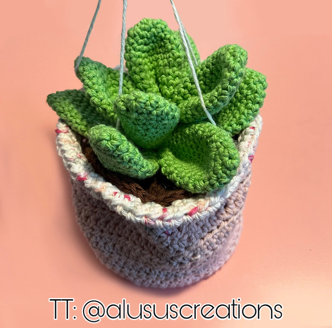 Mixed Succulent in Fabric Bag with Metal Basket