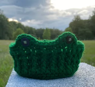 Frog Jewelry Tray