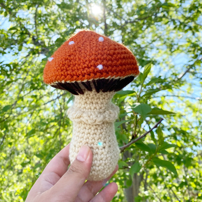 Mini Chonky Mushie/ Emotional Support Mushroom/ Chonky Mushroom/ Mushroom  Amigurumi/ Cottagecore Crochet/ Fungi Crochet/ Mushroom Plush