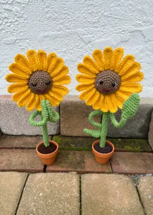 Sunflower-Meditating Sunflower