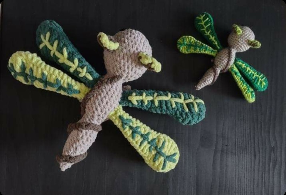 Dragonfly Gift Box - 3-Pack – Twisted Chile