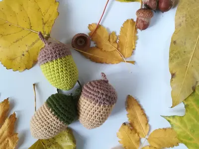 Crochet pattern little acorn