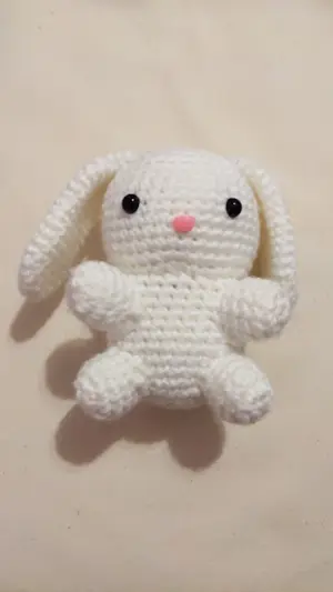 Bunny Amigurumi