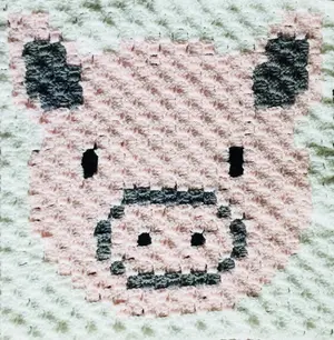 Rocky the Pig C2C Graphgan Square