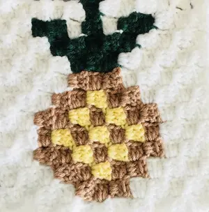 Pineapple C2C Graphgan Square