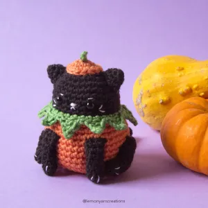 Pumpkin Kitty