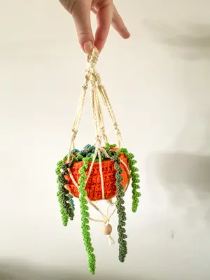 Hanging plant