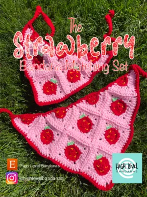 Strawberry Bandana Matching Set
