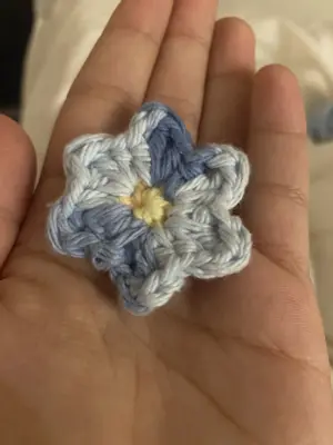 Crochet Forget-Me-Not Flower