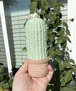 Ribbed Potted Cactus