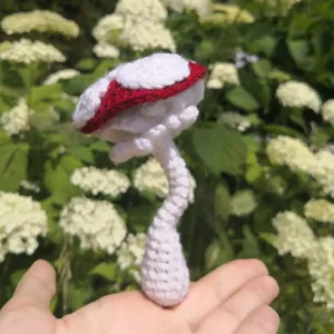 The Fairytale Mushroom