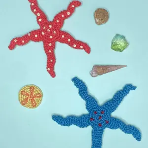 Summer Starfish