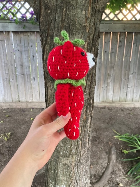 Strawberry Can CoozieCozy: Crochet pattern | Ribblr