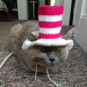 Cat in a Hat inspired crochet pet hat pattern
